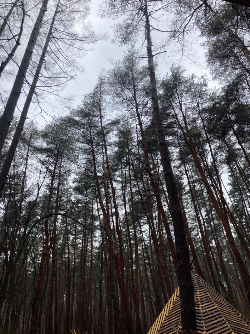 hỹp̃ẽ_はいぽたんさんのFOLKWOOD SAUNAのサ活写真