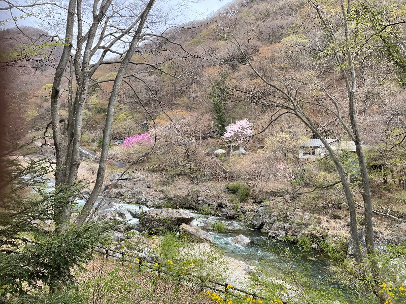 JoelさんのTAOYA川治のサ活写真