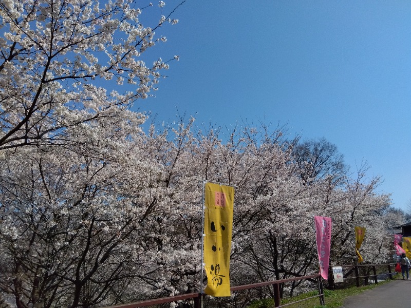 aavenueさんのおおがわら天然温泉 いい湯のサ活写真