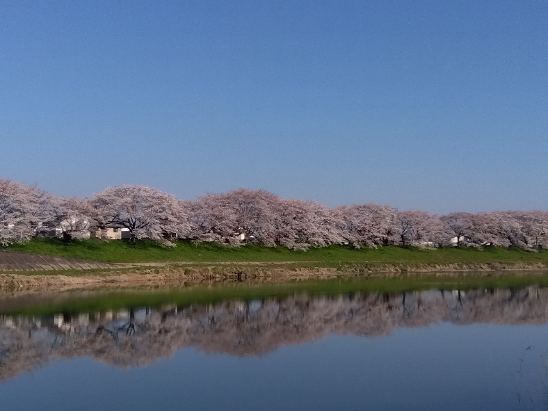 aavenueさんのおおがわら天然温泉 いい湯のサ活写真