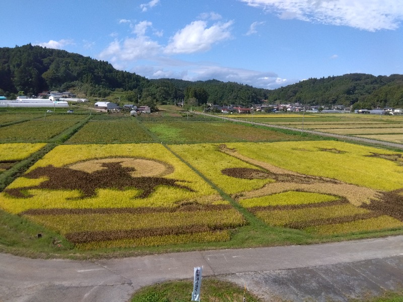 aavenueさんの天然温泉もみの木のサ活写真