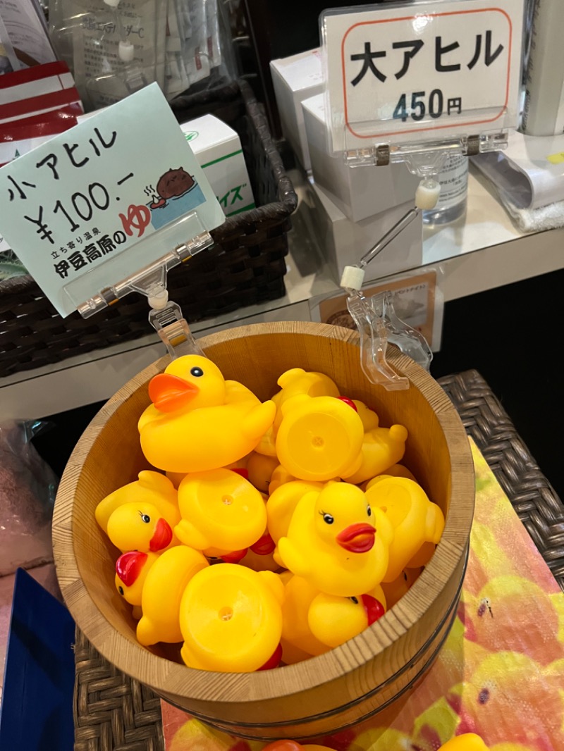 だり柳さんさんの立ち寄り温泉 伊豆高原の湯のサ活写真