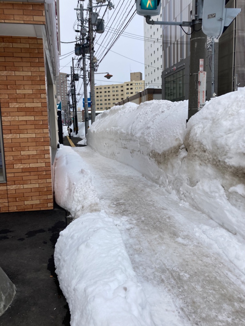 harley papaさんのホテルマイステイズ プレミア札幌パーク パークサイドスパのサ活写真