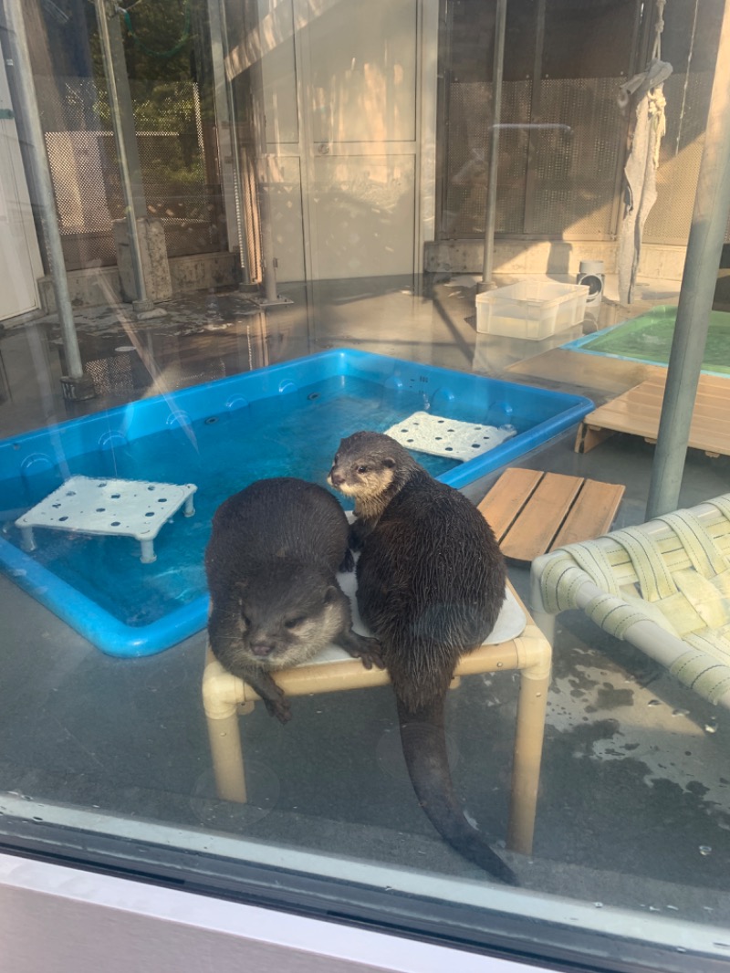 サウナイキスギさんのよみうりランド眺望温泉 花景の湯のサ活写真