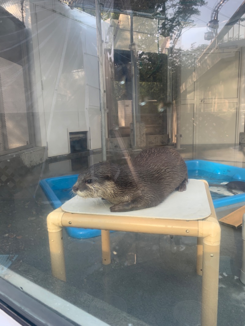 サウナイキスギさんのよみうりランド眺望温泉 花景の湯のサ活写真