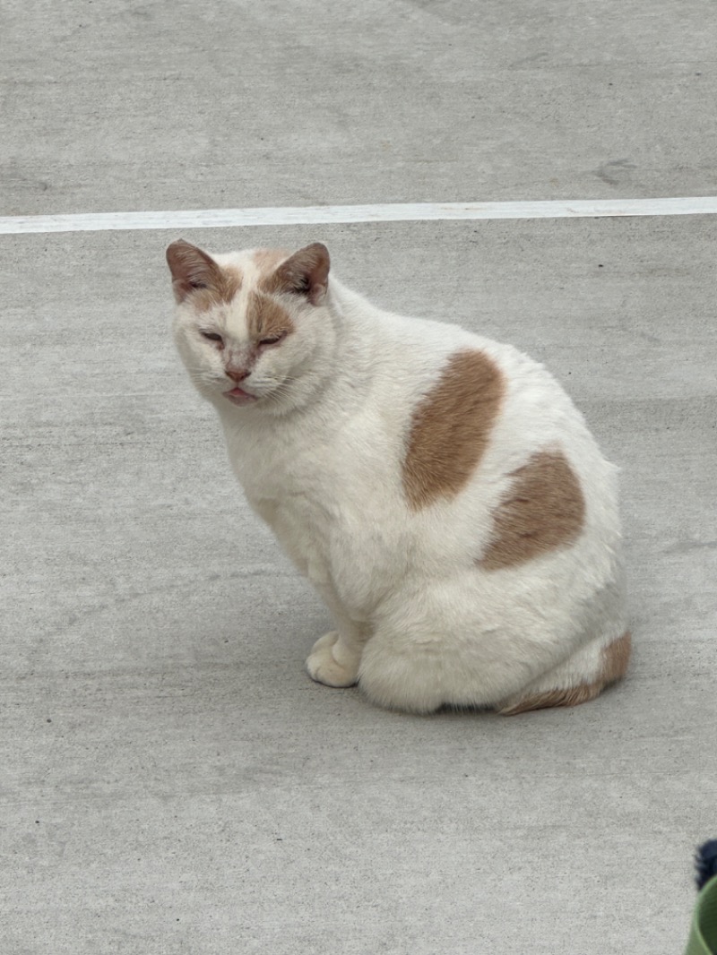 唐揚げの錬金術師さんのやすらぎ温泉のサ活写真