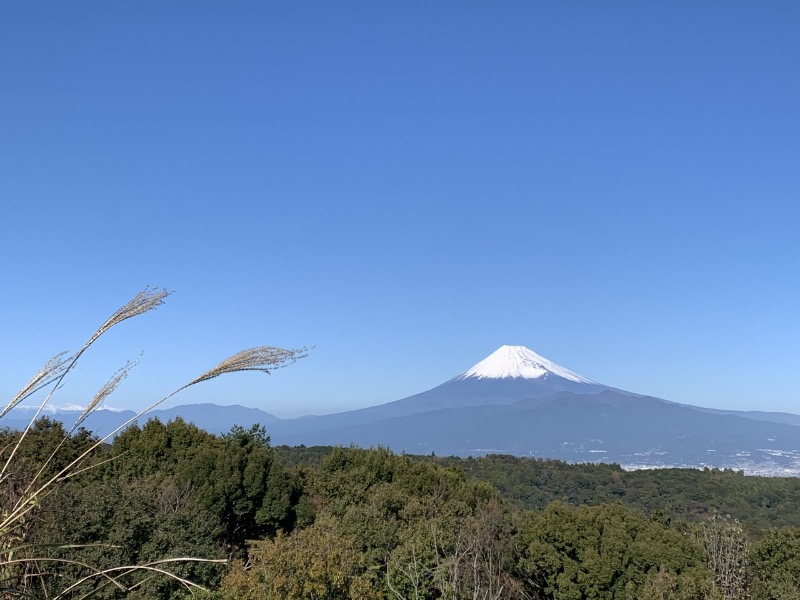シーさんの富士山天然水SPA サウナ鷹の湯のサ活写真