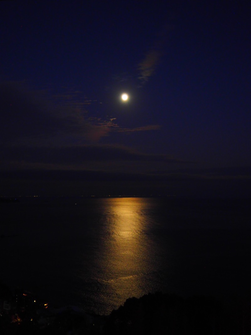 サウナと旅と私さんのATAMI せかいえのサ活写真