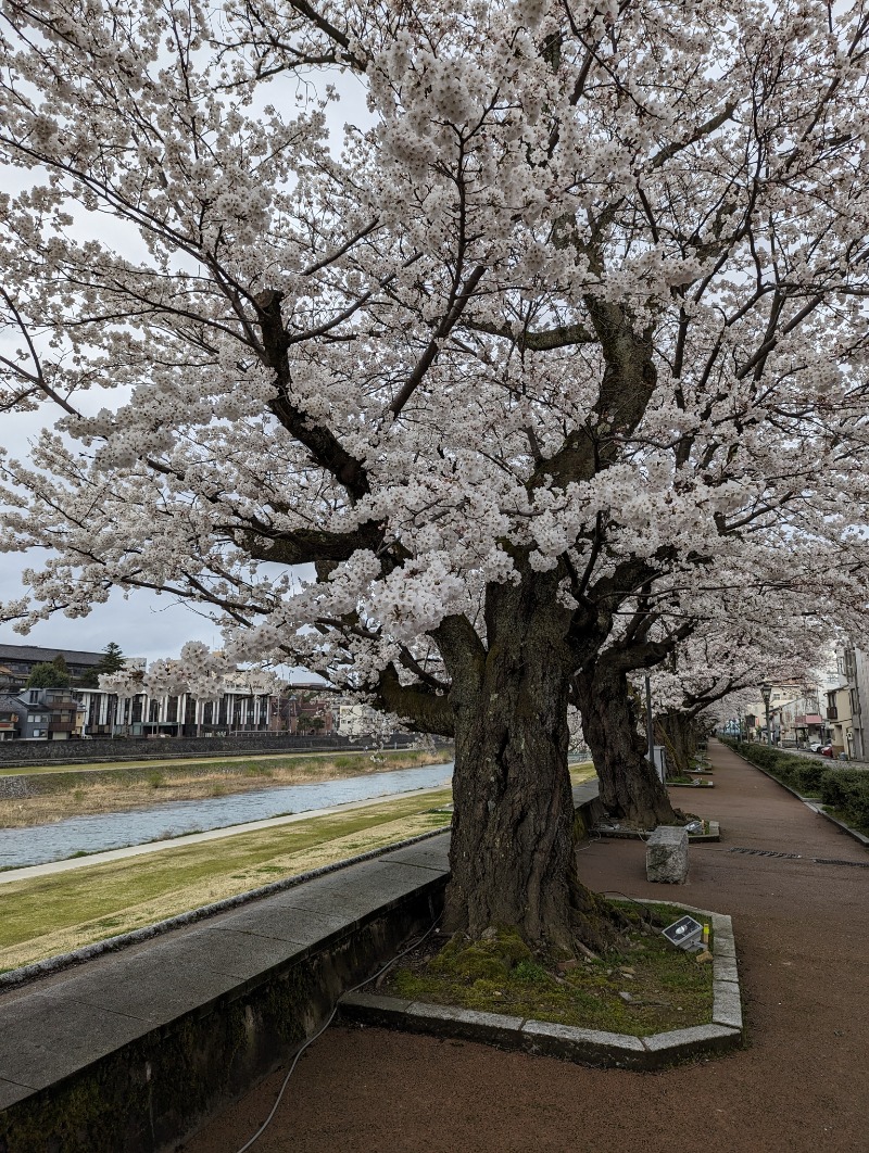 ふっくらすずめさんの満天の湯 金沢店のサ活写真