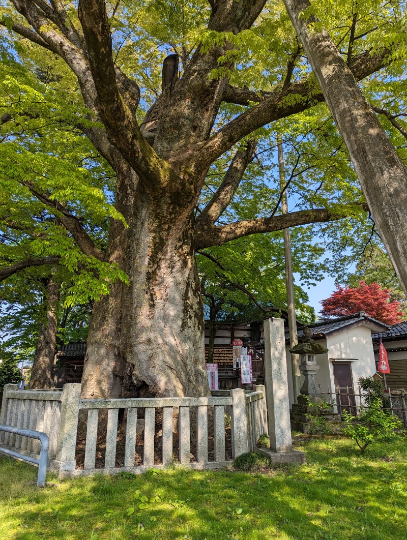 ふっくらすずめさんの満天の湯 金沢店のサ活写真
