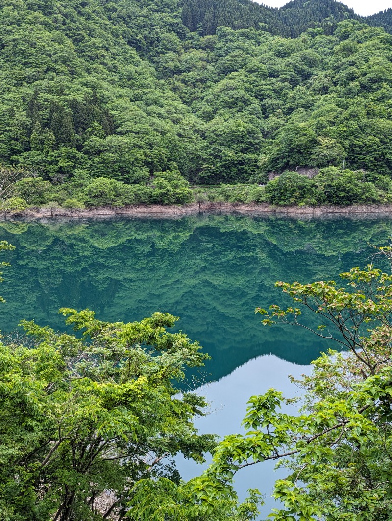 ふっくらすずめさんの福光温泉のサ活写真