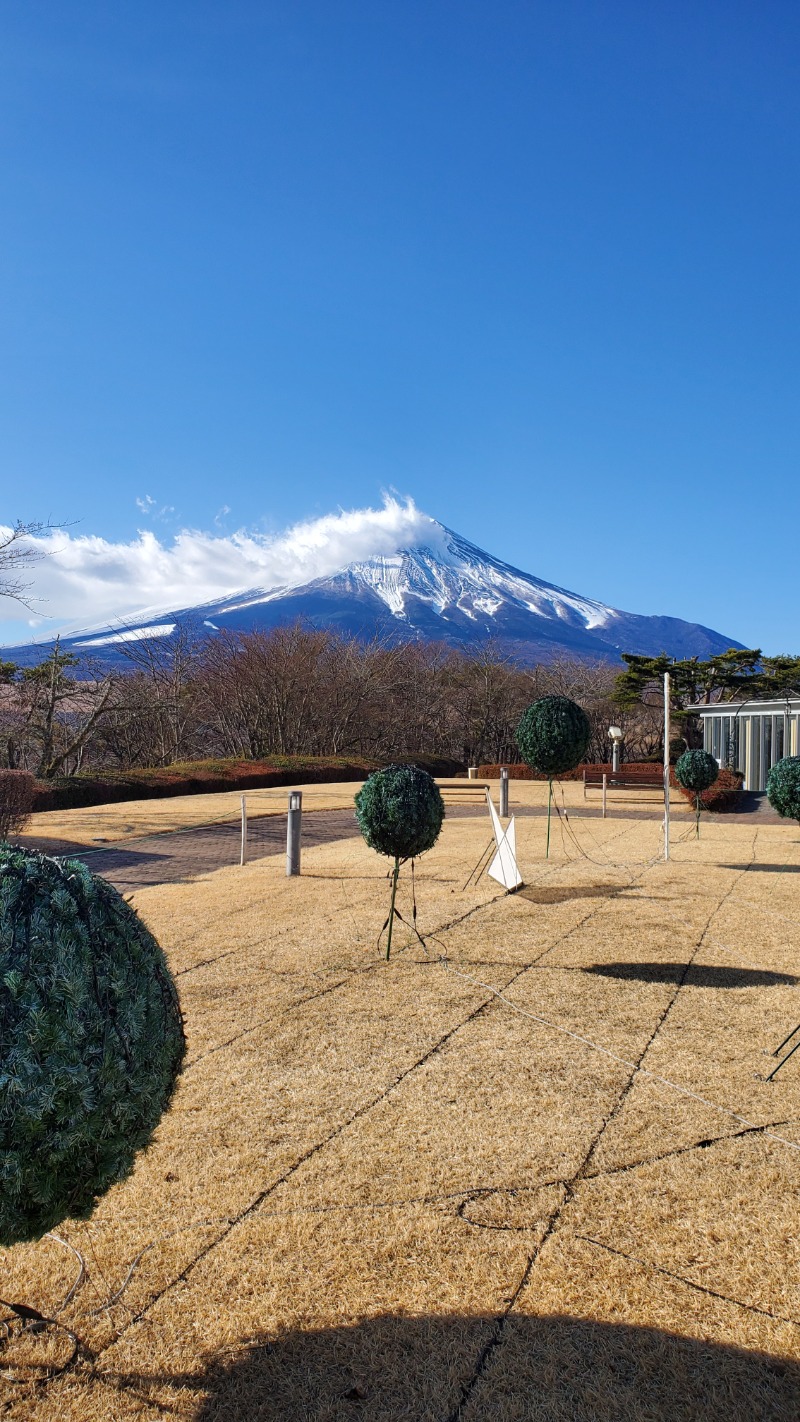 湯ッキーさんのホテルマウント富士のサ活写真