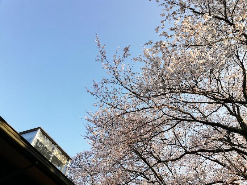 TZさんの里山の湯 辰口温泉総湯のサ活写真