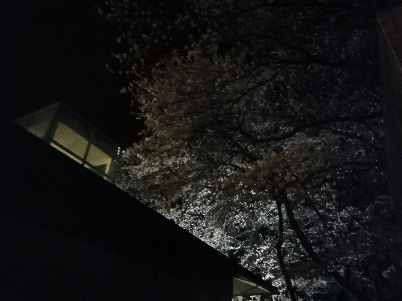 TZさんの里山の湯 辰口温泉総湯のサ活写真