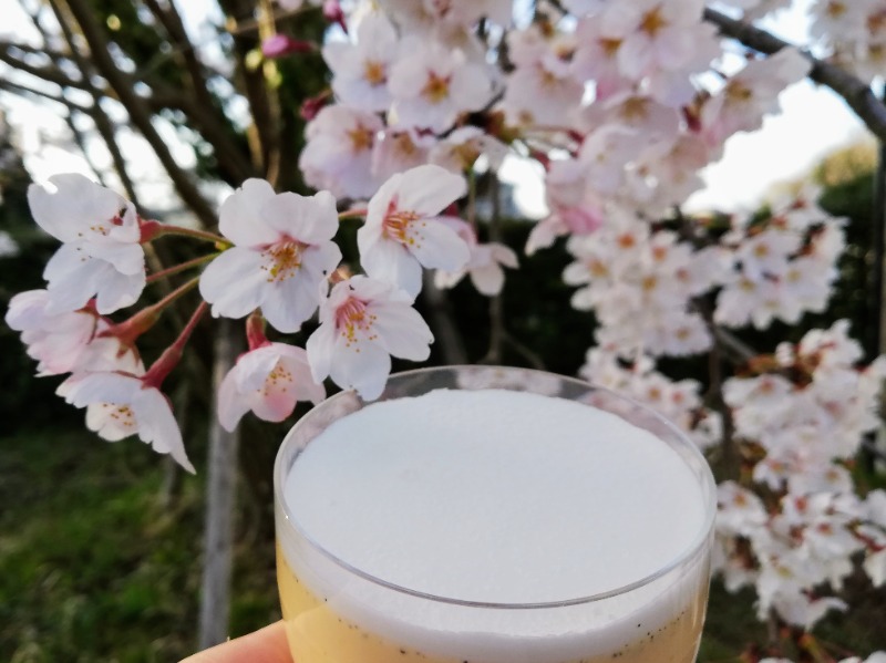 TZさんの里山の湯 辰口温泉総湯のサ活写真