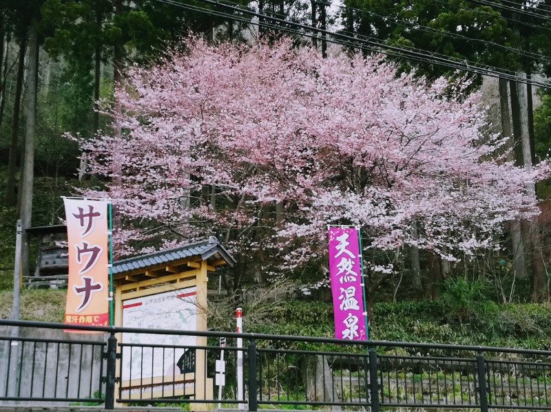 TZさんの山中温泉ゆけむり健康村ゆーゆー館のサ活写真