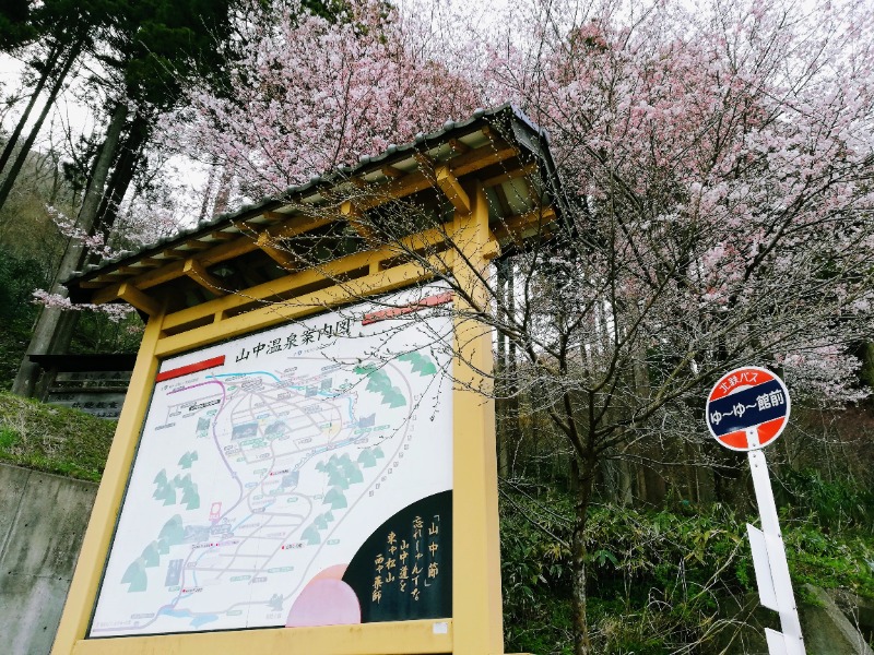 TZさんの山中温泉ゆけむり健康村ゆーゆー館のサ活写真