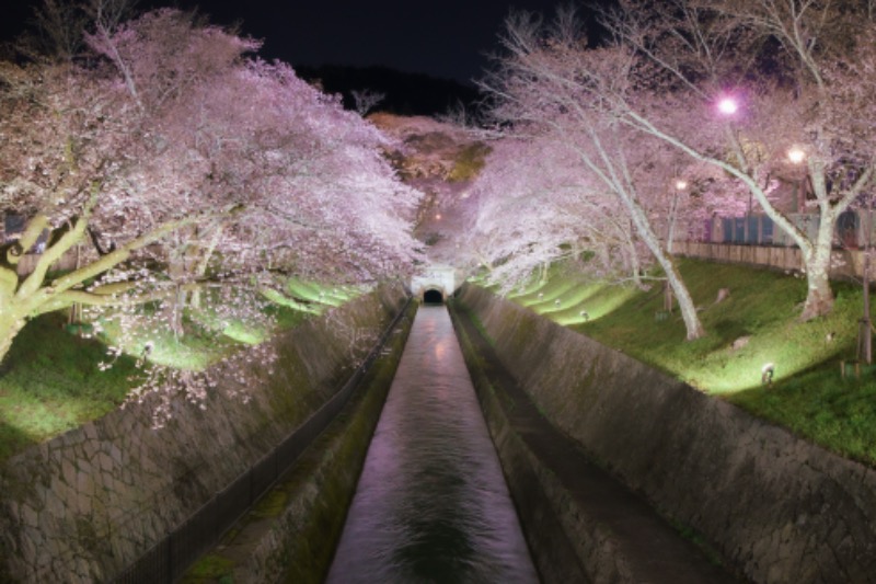 ロウリュ亭熱吉さんの都湯-ZEZE-のサ活写真