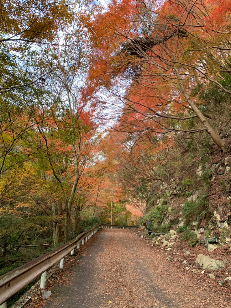 ayanagaさんの神戸クアハウスのサ活写真