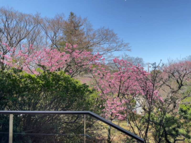 Atsushiさんのよみうりランド眺望温泉 花景の湯のサ活写真