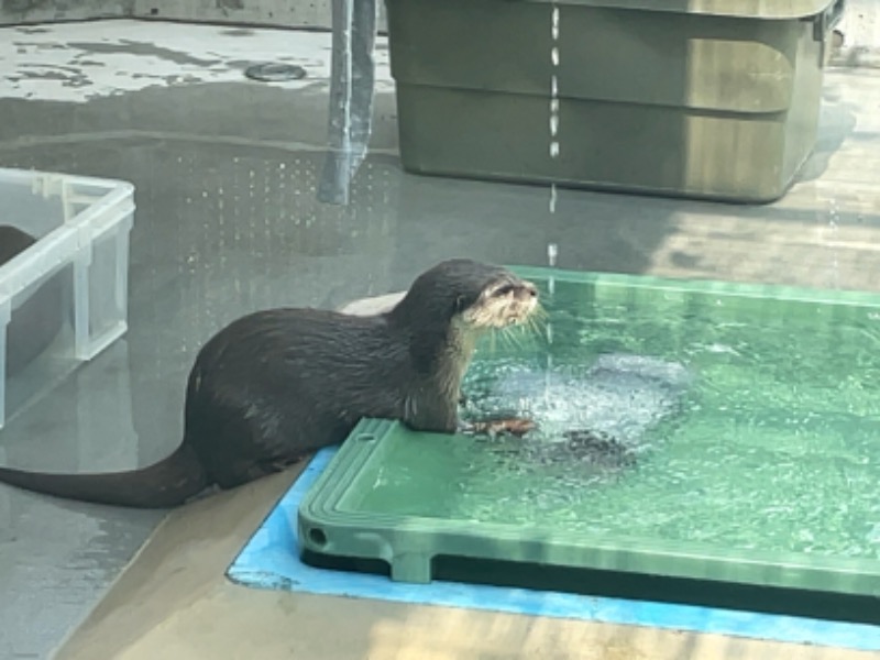 Atsushiさんのよみうりランド眺望温泉 花景の湯のサ活写真