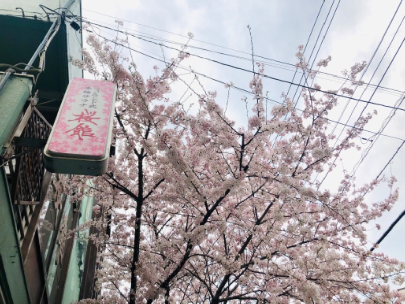 sa...naさんの桜館のサ活写真