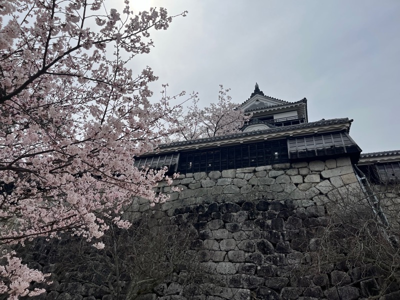 鏡さんのカンデオホテルズ松山大街道のサ活写真