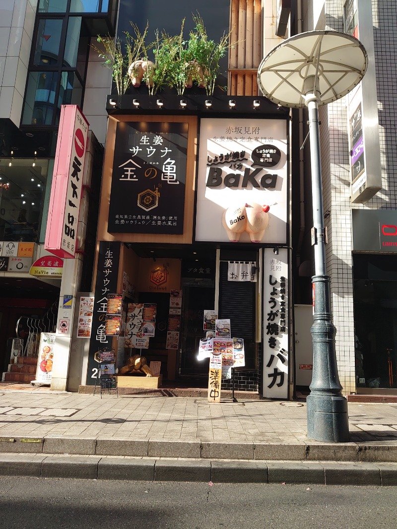 ようちゃんさんの生姜サウナ 金の亀のサ活写真