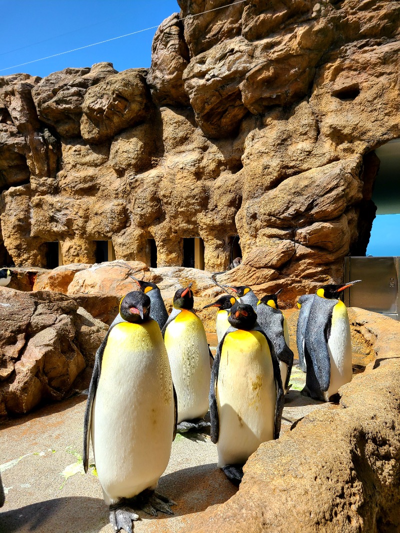 オッチーさんの神辺天然温泉 ぐらんの湯のサ活写真