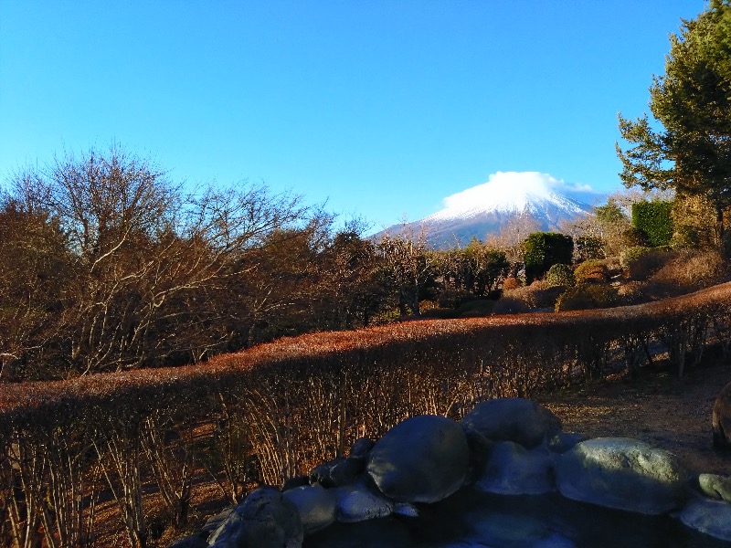 さすらいのサウナーさんのホテルマウント富士のサ活写真