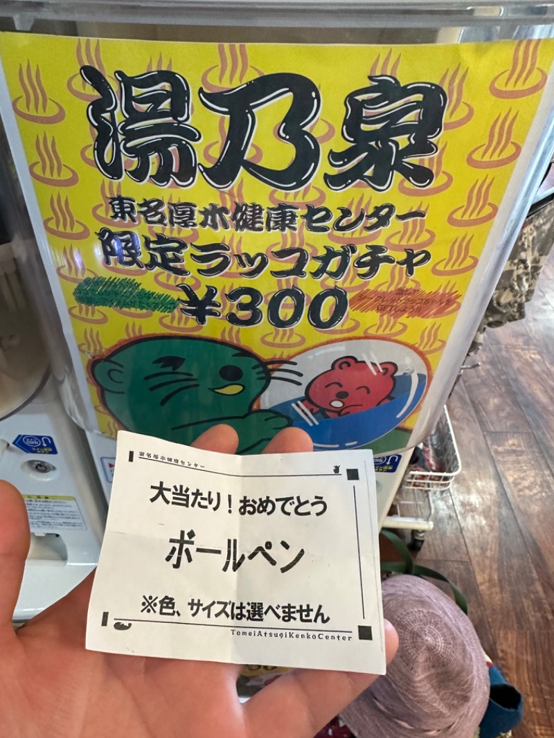 ヒャダさんの湯の泉 東名厚木健康センターのサ活写真