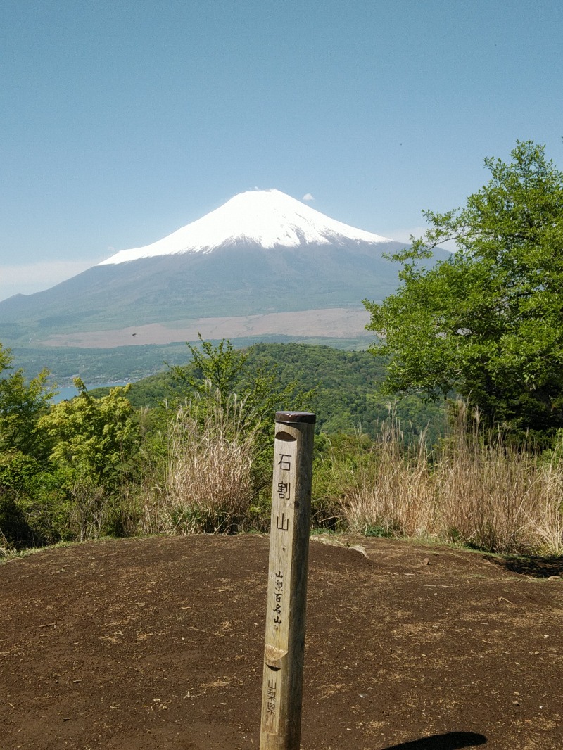 ユウスケさんの天然温泉 富士桜の湯 ドーミーインEXPRESS富士山御殿場のサ活写真