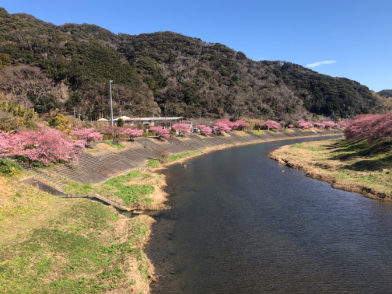 ドックパッチさんの下賀茂温泉 銀の湯会館のサ活写真