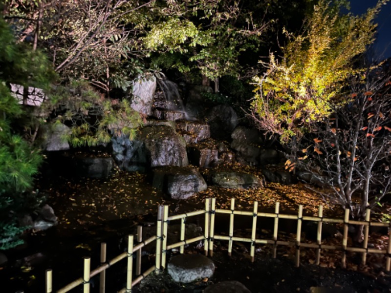 そらまめさんの見沼天然温泉 小春日和のサ活写真