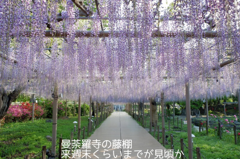 チロ的サウナ飯さんの松竹温泉 天風の湯のサ活写真