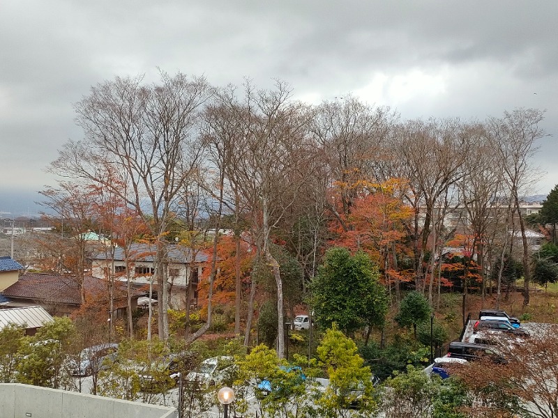 SWHさんの天然温泉 富士桜の湯 ドーミーインEXPRESS富士山御殿場のサ活写真
