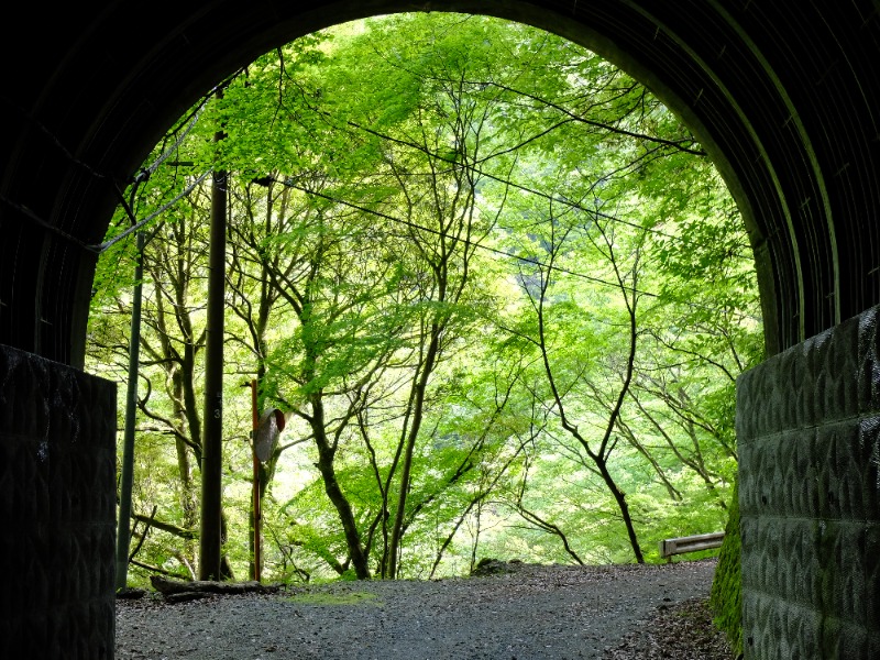 SWHさんのスパリゾート オアシス御殿場のサ活写真