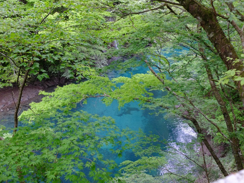 SWHさんのスパリゾート オアシス御殿場のサ活写真