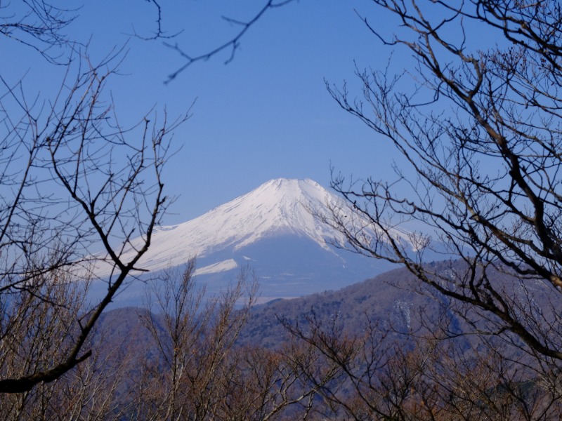 SWHさんのレンブラントスタイル御殿場駒門  富士の心湯のサ活写真