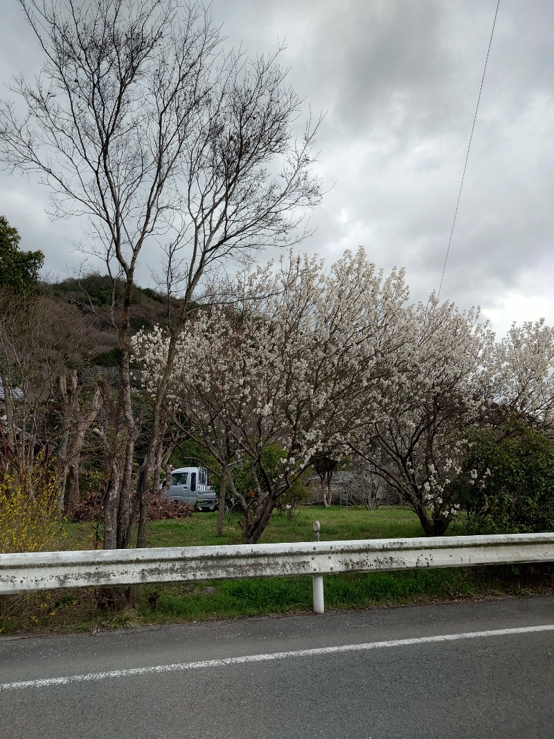 りきあさんの花の湯 SAUNA & SPA 花北のサ活写真