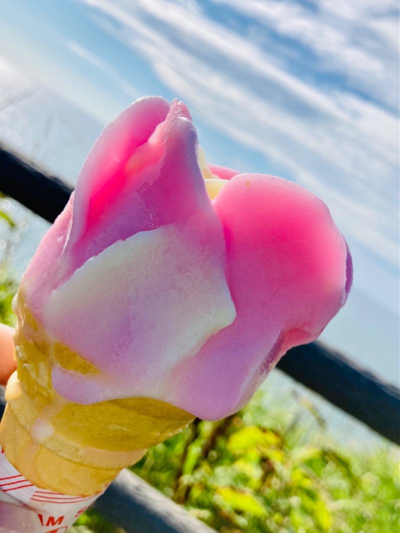 蒸しパンダさんの道の駅 象潟 ねむの丘のサ活写真