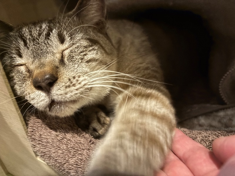 じゅんさんのCABIN&HOTEL CONSTANT NAHAのサ活写真