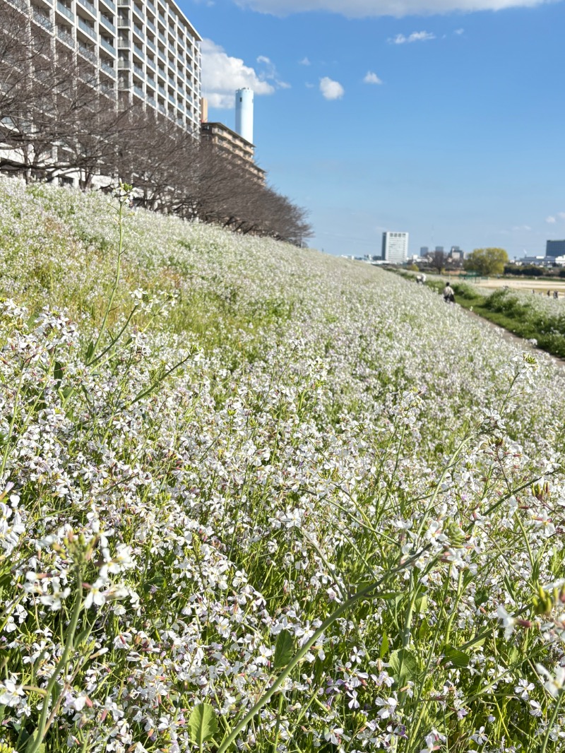 じゅんさんの都湯のサ活写真