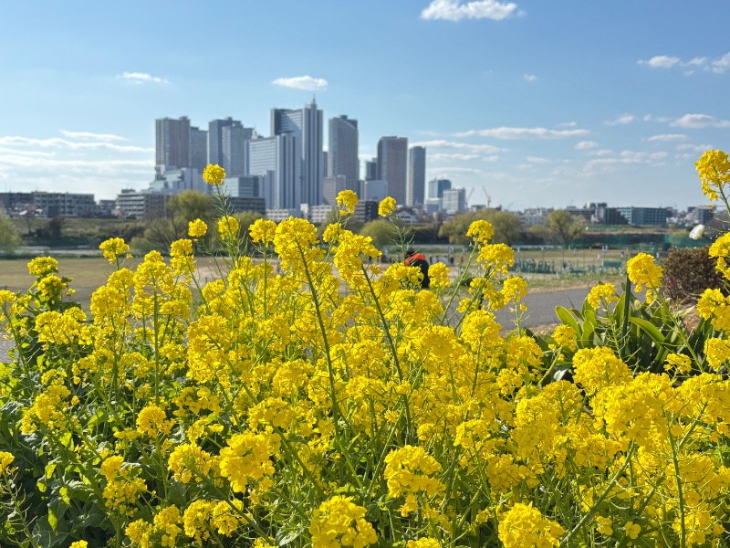 じゅんさんの都湯のサ活写真