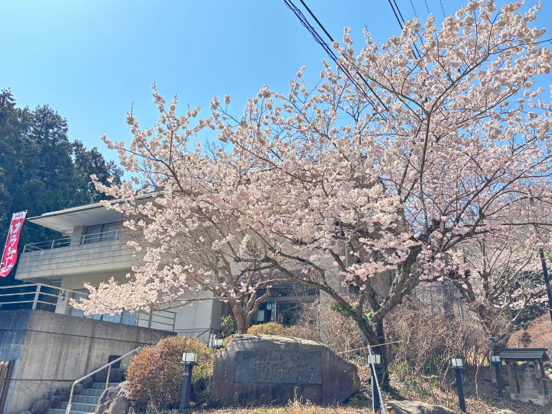 じゅんさんの清川村ふれあいセンター 別所の湯のサ活写真