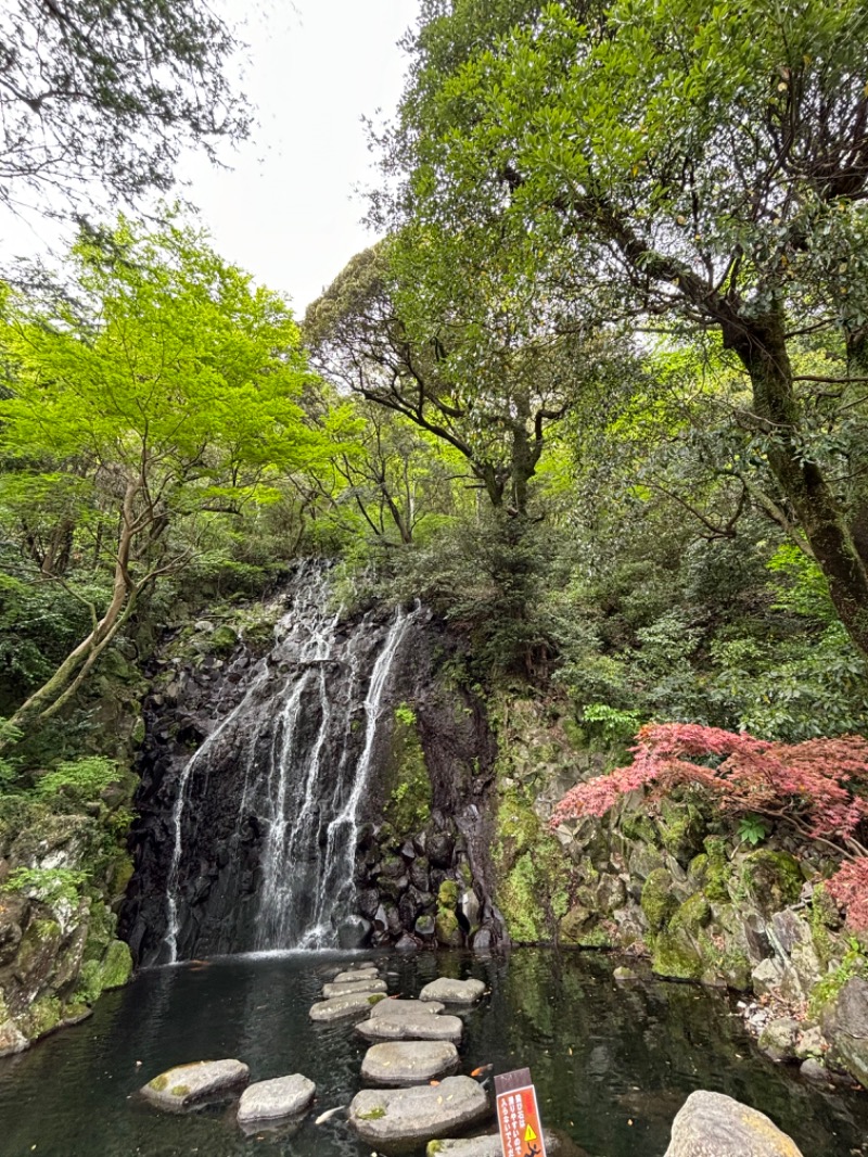 じゅんさんの箱根湯本温泉 天成園のサ活写真