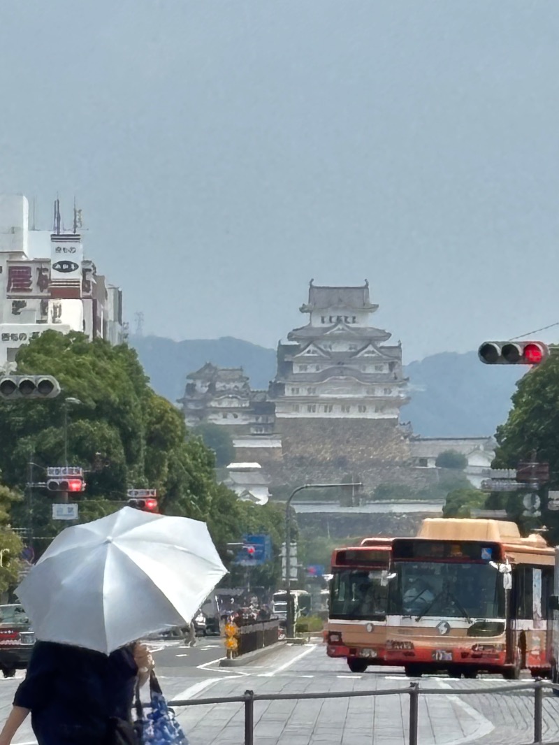 じゅんさんの白鷺の湯 ドーミーイン姫路のサ活写真