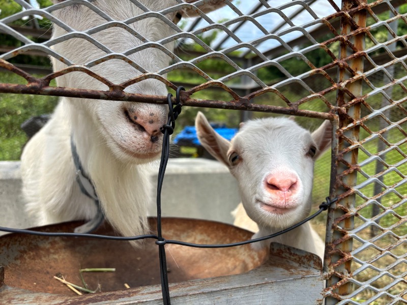 じゅんさんの熊ノ沢温泉のサ活写真