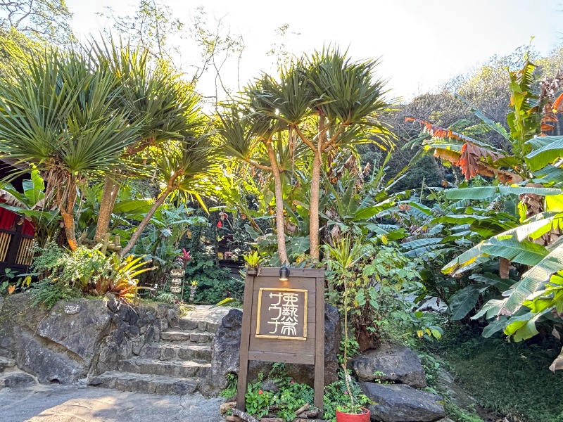 じゅんさんの亜熱帯サウナのサ活写真