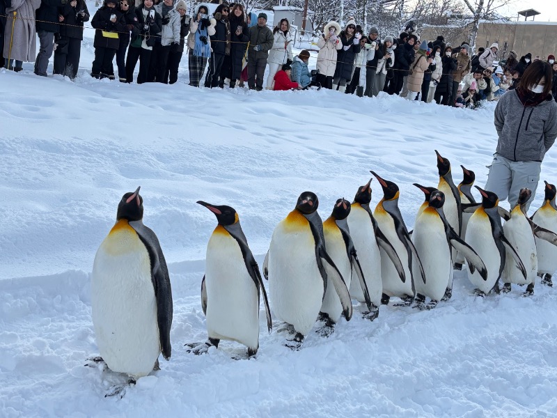 じゅんさんのキトウシの森きとろんのサ活写真